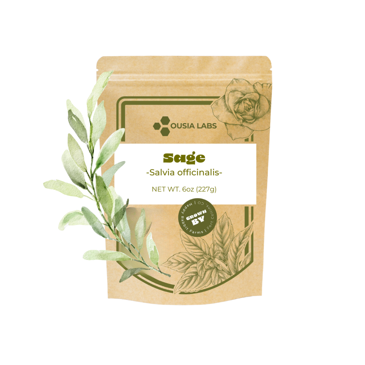 Freeze Dried Culinary Grade Sage
