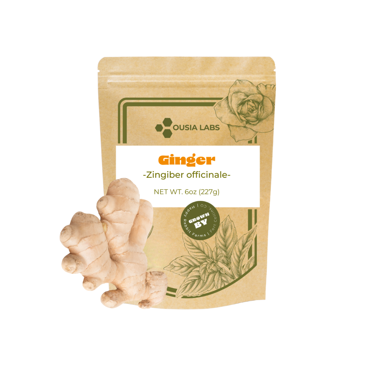 Culinary Grade Ginger Root