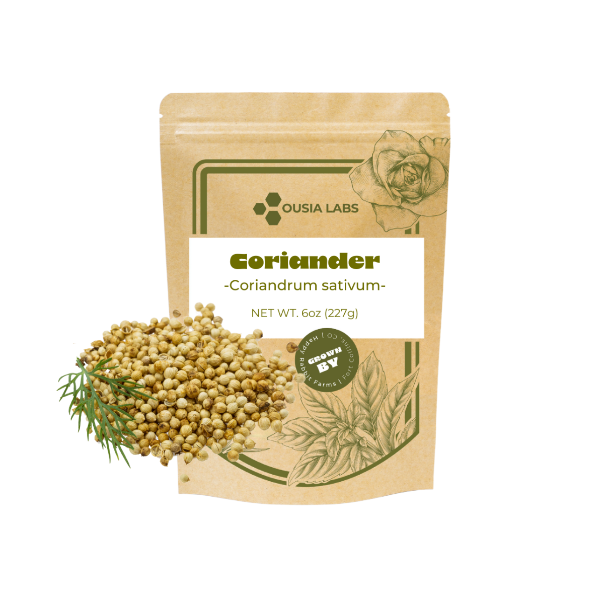 Culinary Grade Coriander