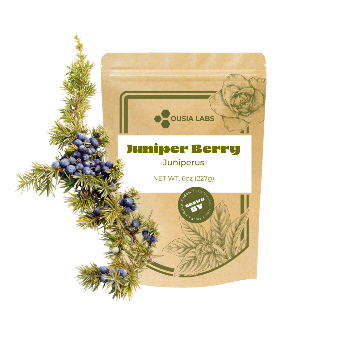 Culinary Grade Juniper Berry
